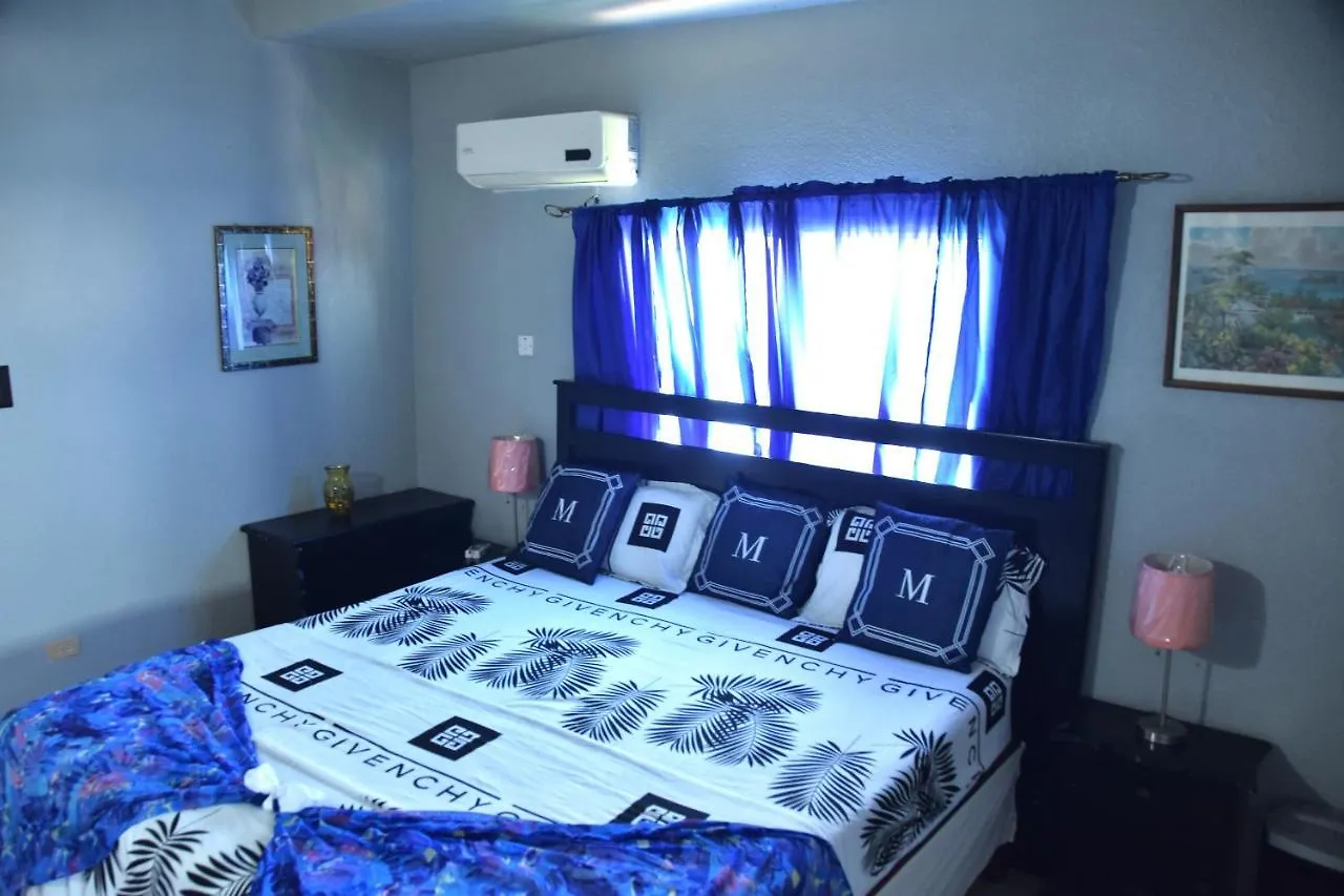 Bed & Breakfast The President Room 5 Minutes To Devon House 4 Waterloo Avenue Kingston