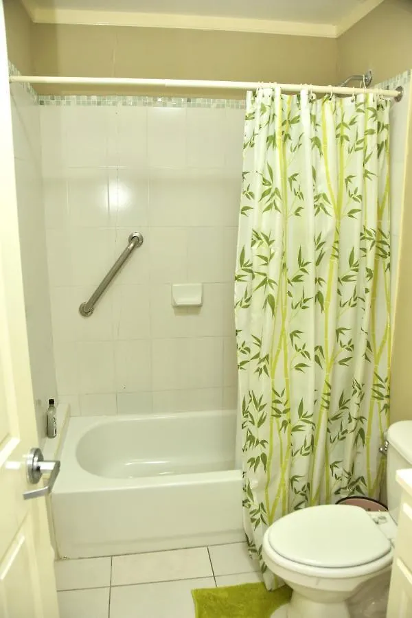 The President Room 5 Minutes To Devon House 4 Waterloo Avenue Kingston Bed & Breakfast